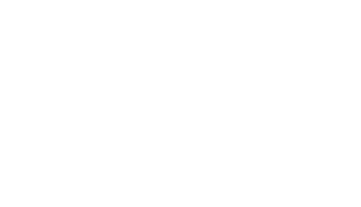 Nedap-1