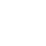 icon-wirelab-1